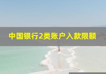 中国银行2类账户入款限额