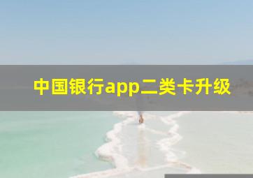 中国银行app二类卡升级