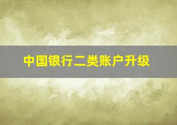 中国银行二类账户升级