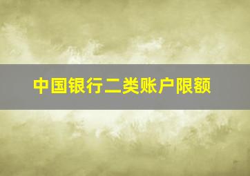 中国银行二类账户限额