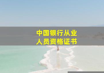 中国银行从业人员资格证书