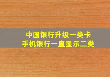 中国银行升级一类卡手机银行一直显示二类