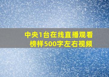 中央1台在线直播观看榜样500字左右视频