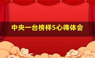 中央一台榜样5心得体会