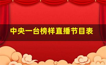 中央一台榜样直播节目表