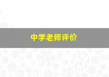 中学老师评价