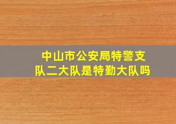 中山市公安局特警支队二大队是特勤大队吗