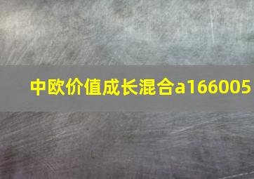 中欧价值成长混合a166005