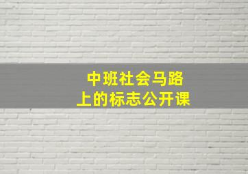 中班社会马路上的标志公开课