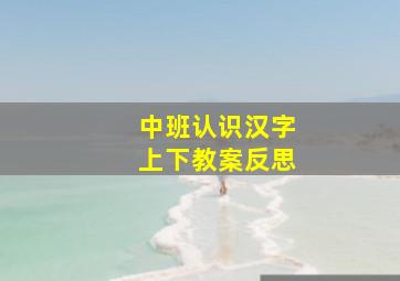 中班认识汉字上下教案反思