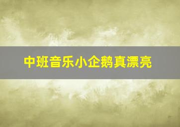 中班音乐小企鹅真漂亮