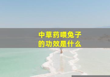 中草药喂兔子的功效是什么