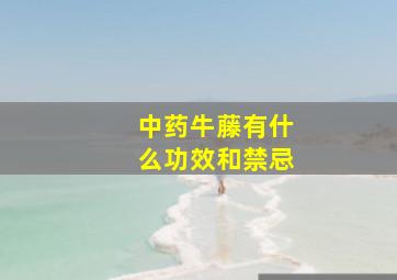 中药牛藤有什么功效和禁忌