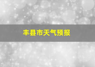 丰县市天气预报