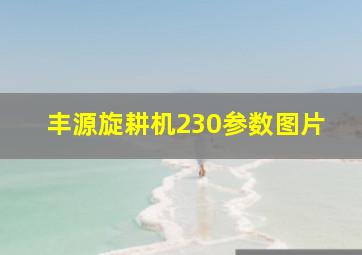 丰源旋耕机230参数图片