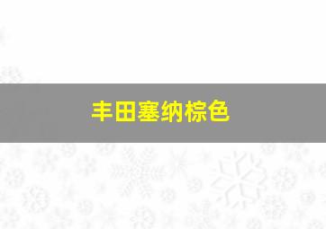 丰田塞纳棕色