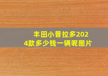 丰田小普拉多2024款多少钱一辆呢图片