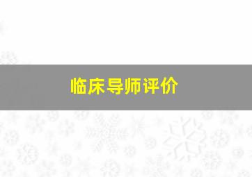 临床导师评价