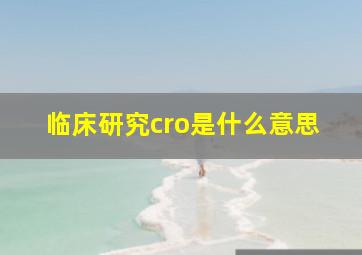 临床研究cro是什么意思