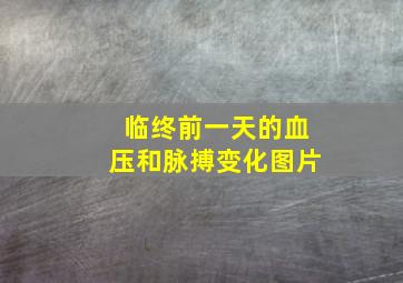 临终前一天的血压和脉搏变化图片