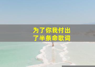 为了你我付出了半条命歌词