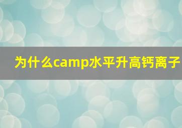 为什么camp水平升高钙离子