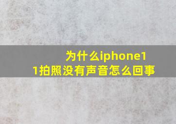 为什么iphone11拍照没有声音怎么回事