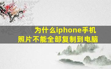 为什么iphone手机照片不能全部复制到电脑