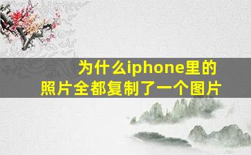 为什么iphone里的照片全都复制了一个图片