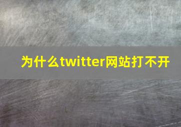 为什么twitter网站打不开