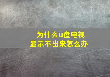 为什么u盘电视显示不出来怎么办