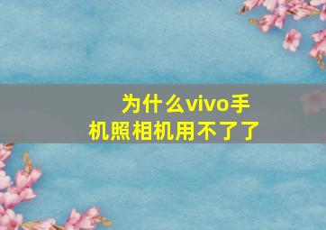 为什么vivo手机照相机用不了了