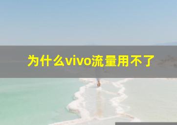 为什么vivo流量用不了