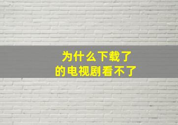 为什么下载了的电视剧看不了