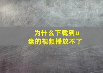 为什么下载到u盘的视频播放不了