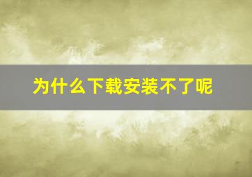 为什么下载安装不了呢