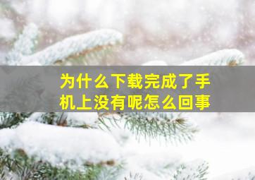 为什么下载完成了手机上没有呢怎么回事