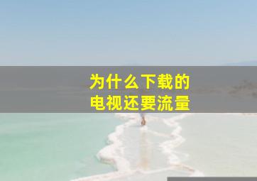 为什么下载的电视还要流量