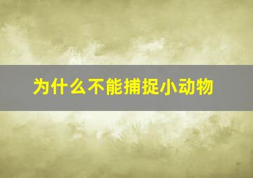 为什么不能捕捉小动物