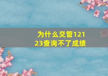 为什么交管12123查询不了成绩