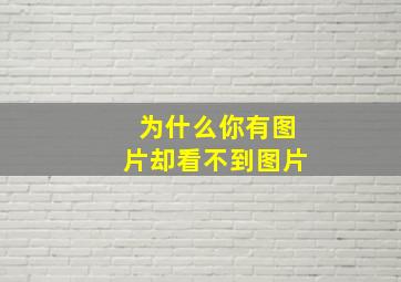 为什么你有图片却看不到图片