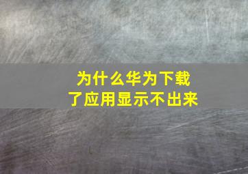 为什么华为下载了应用显示不出来