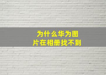 为什么华为图片在相册找不到