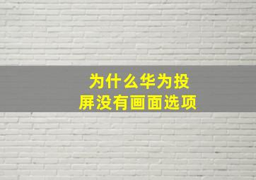 为什么华为投屏没有画面选项