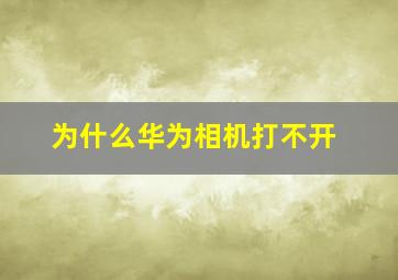 为什么华为相机打不开