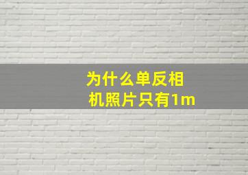 为什么单反相机照片只有1m