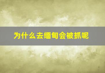 为什么去缅甸会被抓呢