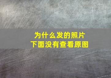 为什么发的照片下面没有查看原图