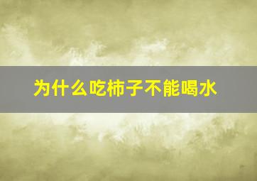 为什么吃柿子不能喝水