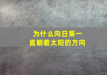 为什么向日葵一直朝着太阳的方向